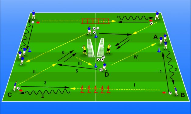 Finalizare cu sut la poarta, exercitiu realizat la doua porti.