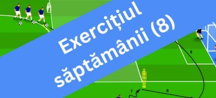 Exercițiul săptămânii (8)